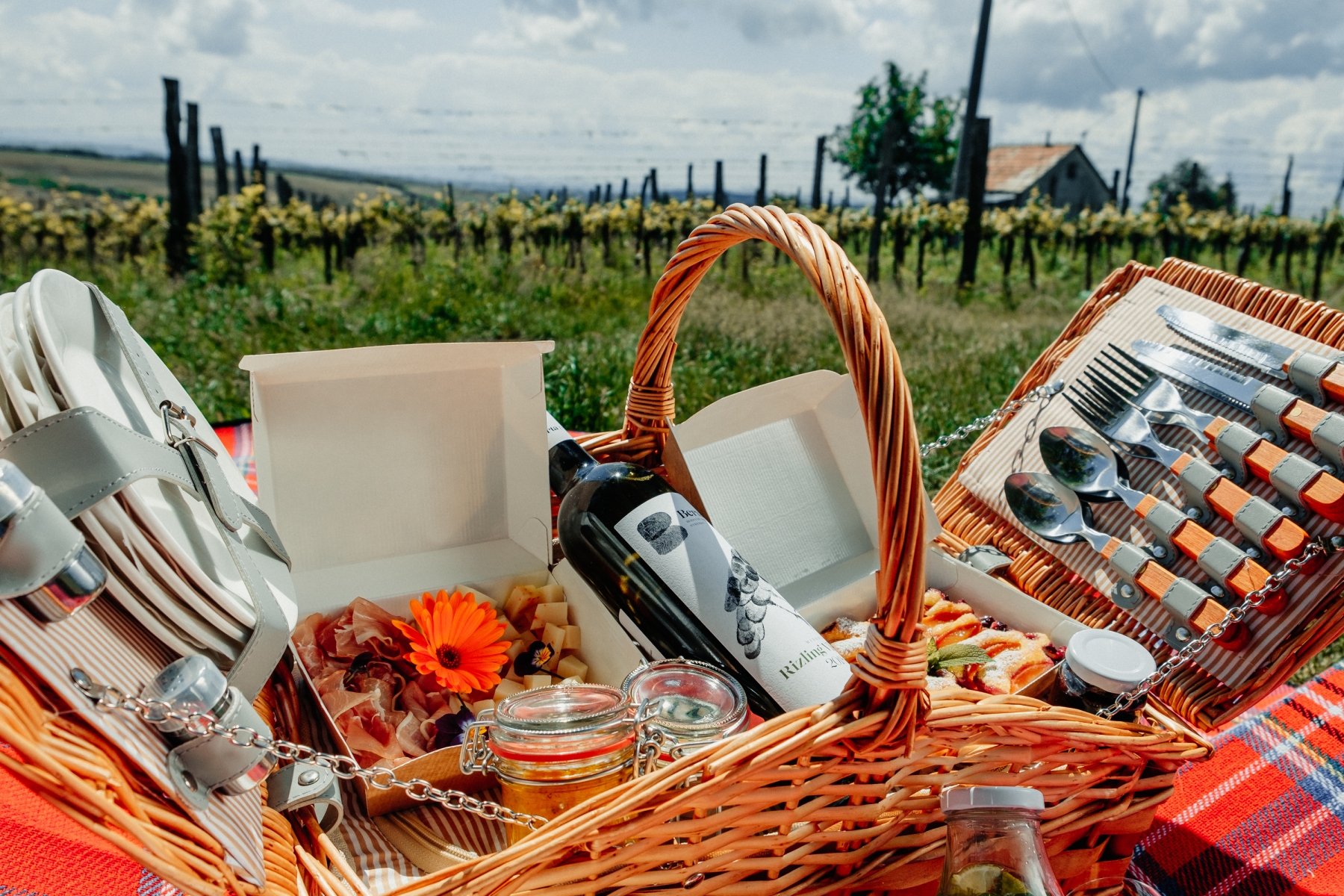 Piknik vo vinohrade pre 4 osoby